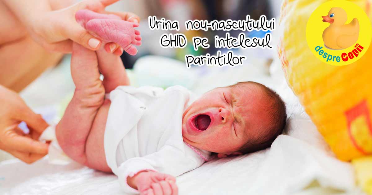 Urina nou-nascutului - un ghid de pipi pe intelesul parintilor