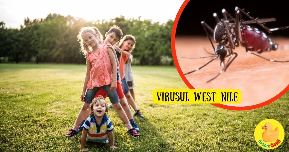 Infectia cu virusul West Nile la copii - simptome si prevenire - sfatul medicului