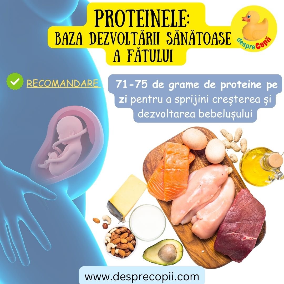 proteine sarcina 