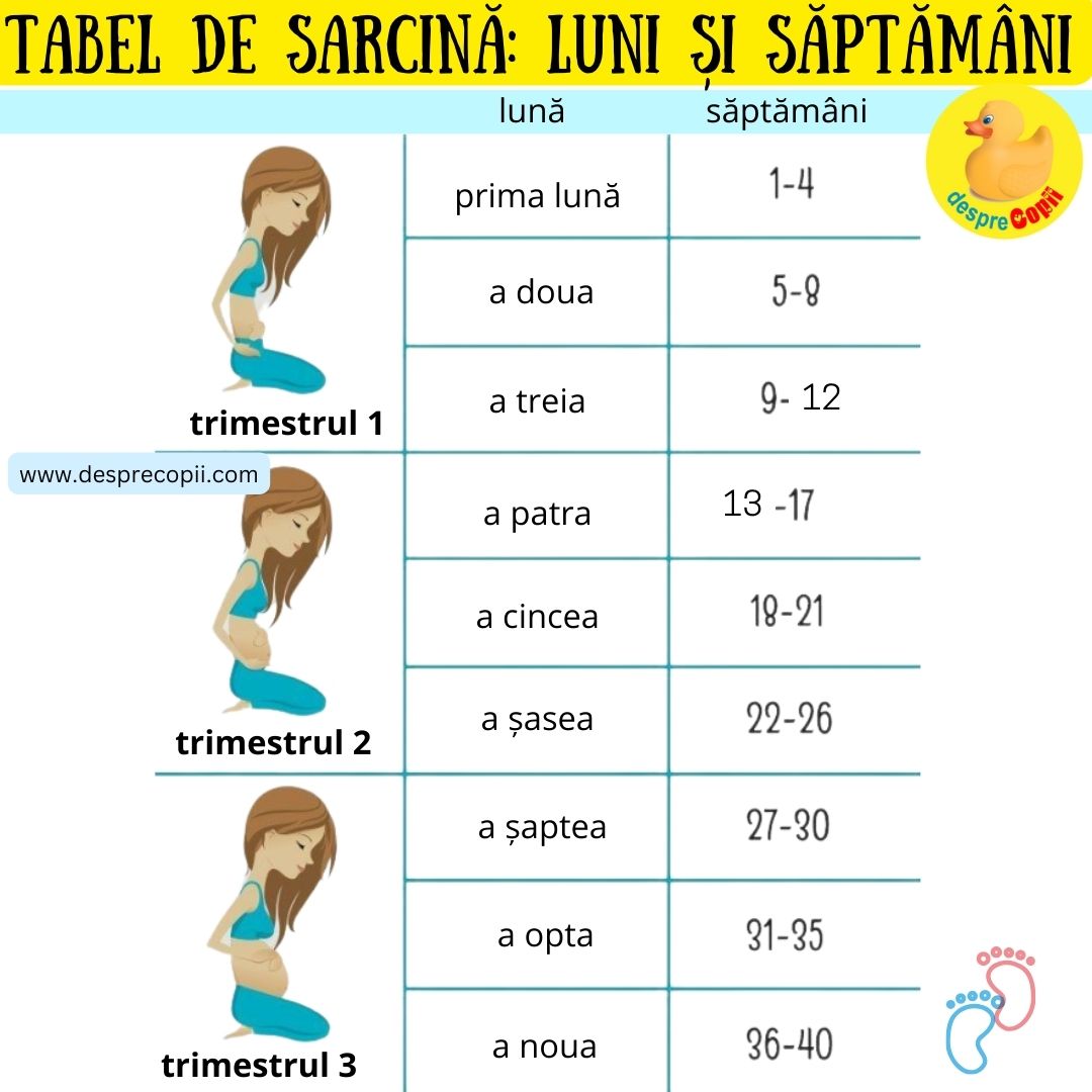 sarcina pe trimestre