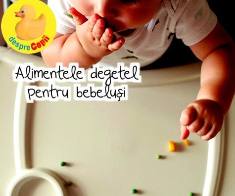 Alimentele degetel (bucatele de papica) pentru bebelusi -  cand, ce si cum