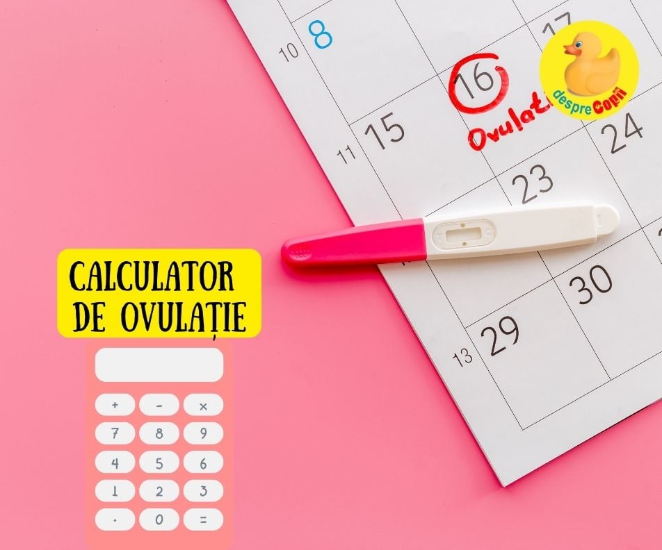 Calculul ovulatiei - calculator esential daca vrei sa ramai insarcinata si sa afli zilele fertile
