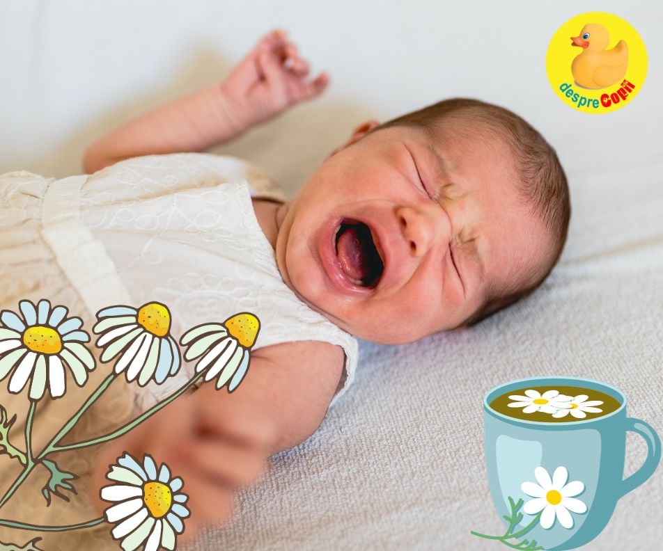 Ceaiul de mușetel și colicii bebelușului - părerea specialistilor