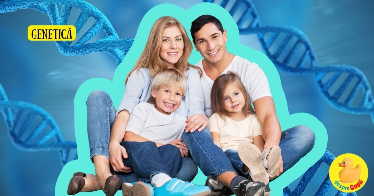 Cum se transmit genele de la părinti: ce transmite mama și ce transmite tata copilului 🧬