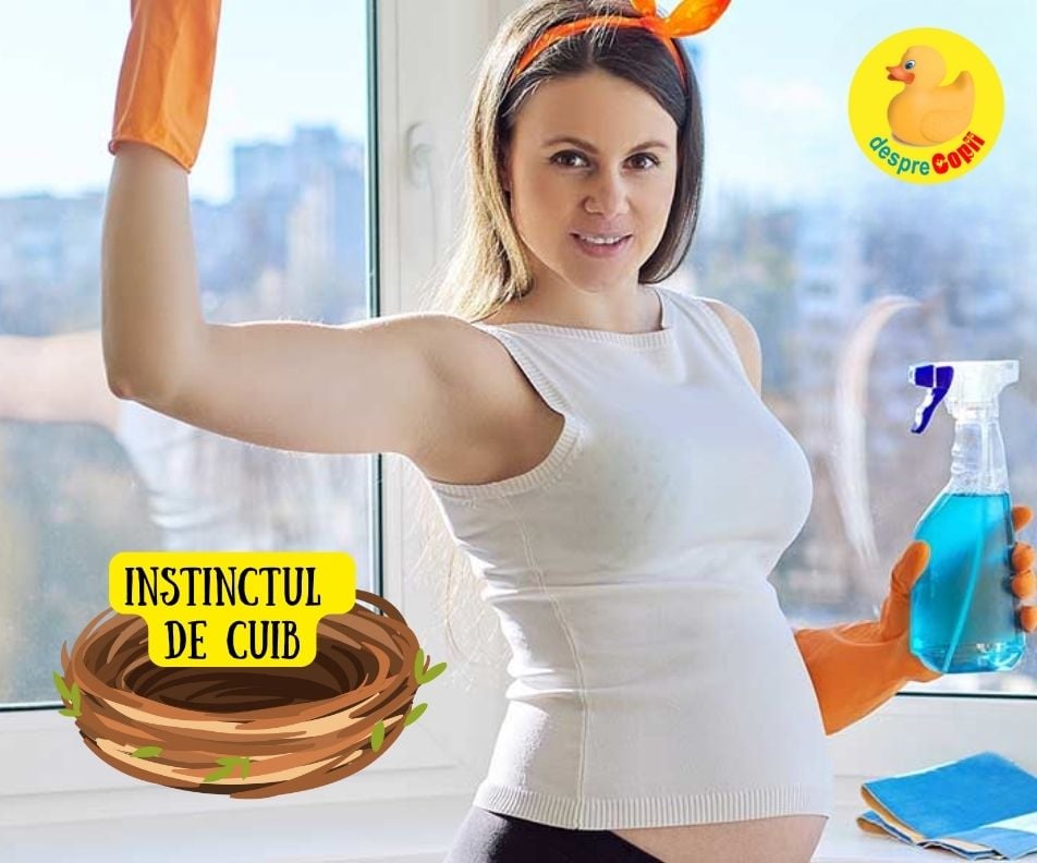 7 faze ale instinctului de cuib in timpul sarcinii