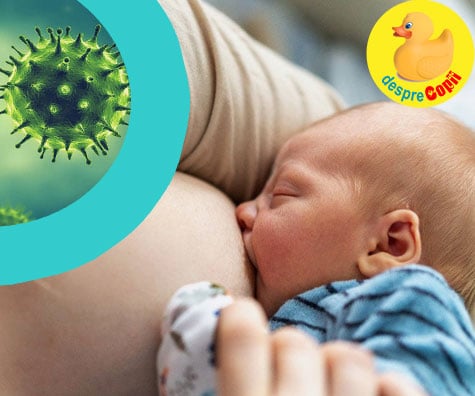 Alaptarea si coronavirusul -  ce facem daca mama este infectata cu acest virus