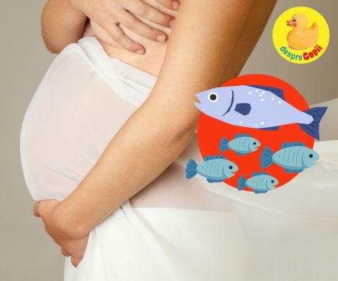 Ce pește avem voie să mancăm in timpul sarcinii și ce categorii trebuie evitate