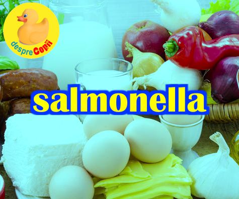 Salmonela si salmoneloza -  intrebari si raspunsuri despre alimentele care ne pot imbolnavi grav