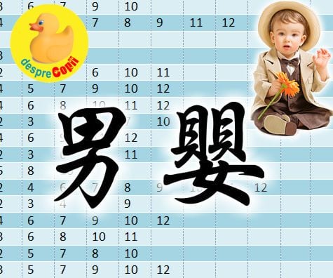 Tabelul chinezesc pentru conceperea unui băietel - află in functie de anul concepției in ce lună poți concepe un băietel
