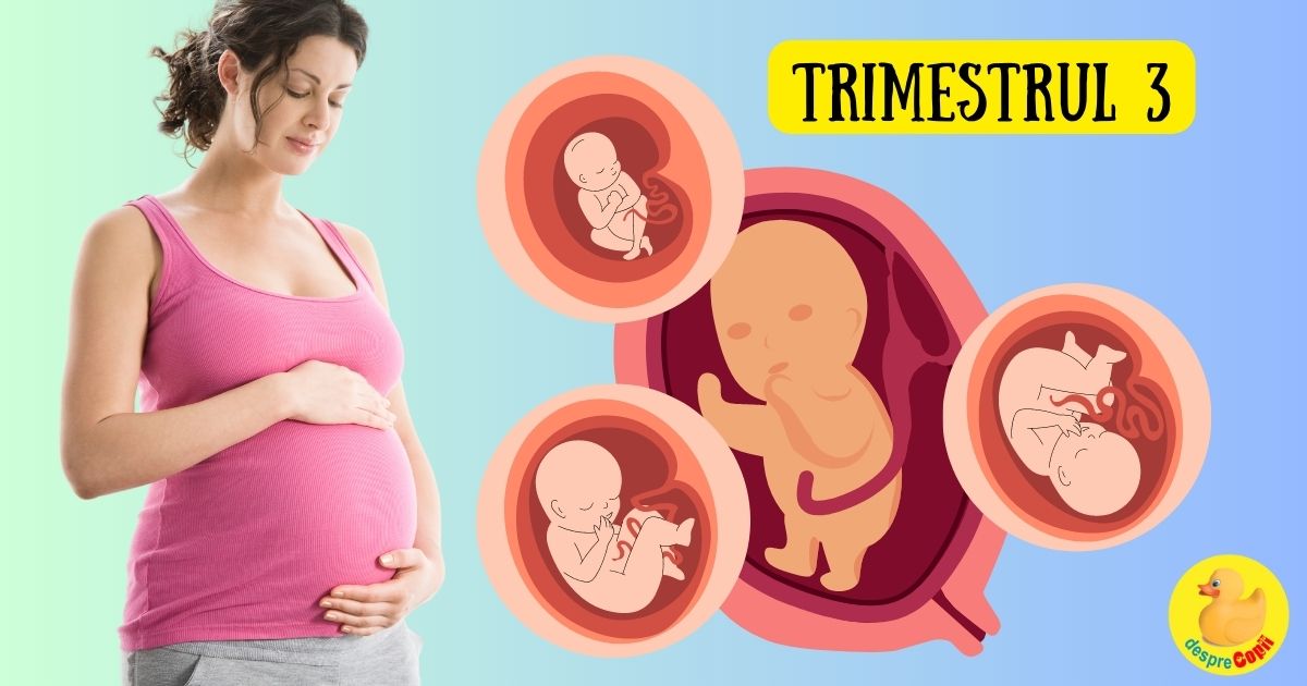 Al treilea trimestru de sarcina - trimestrul in care bebe si mami cresc vertiginos -  simptome specifice si dezvoltare pe saptamani width=